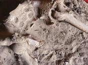 Arqueólogos Universidad Jaén detectan Egipto caso antiguo cáncer pecho