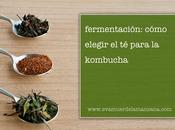 Fermentación: Cómo elegir para kombucha