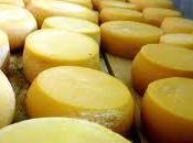 Todo siempre querido saber sobre quesos. Cheese world cantabriaentuboca.net