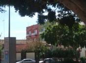 Primavera barrio