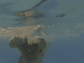 Mejora técnica natación. Parte III.