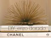 DIY: erizo dorado