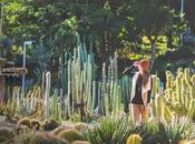 Cactus barcelona