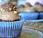 Cupcakes Ferrero Rocher