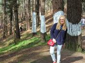 excursión bosque pintado