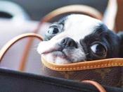 Viernes modo blogger