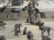 ¿por tienes espíritu emprendedor?