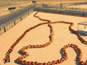 Trailer: Human Centipede Final Sequence