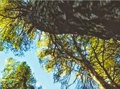 Subsuelo. Marcelo Luján