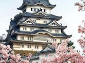HANAMI (花見): florecimiento cerezos Japón