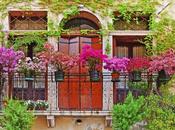 Flores para balcones