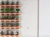 DIY: PASO para hacer JARDÍN INTERIOR CASA