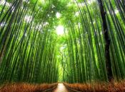 Espíritu Kaizen como filosofía vida