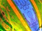 Muestra inaugural Floki Gauvry SOLO PLANETA'