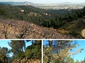 Gavà Sant Vicenç dels Horts