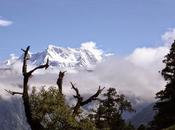 Valle Himalaya llama Johar