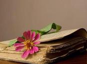 Ojalá fuese realidad...