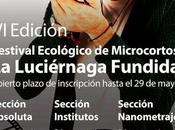 Edición Festival Ecológico Microcortos Luciérnaga Fundida