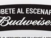 Festival Budweiser lanzan concurso para bandas emergentes. Premio: Tocar 2015