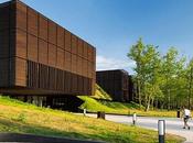 Diapositivas locales