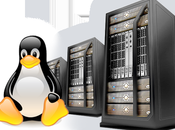 Mejores Hosting Linux-Amigables 2014