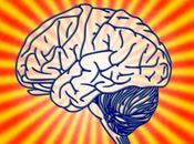 Conservar proteger cerebro: ¿Por qué? ¿Cómo?