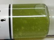 Purificador Trébol Agua "Puranic"