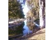 Días parque