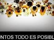 Todo posible
