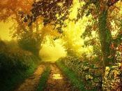 VIDA ETERNA, mundo interior