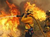 Internacional Combatiente Incendios Forestales