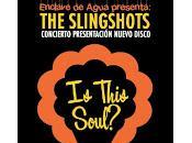 Slingshots actuarán este semana Tempo Club