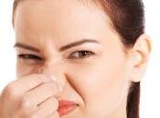 Trucos Efectivos para Eliminar Malos Olores Hogar