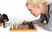 VIDEOS CURIOSOS Ajedrez (28)