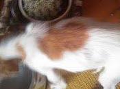 Urgente, apenas mantiene