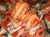 mariscada excelente
