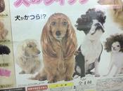 Máquina expendedora pelucas para perros
