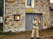 camino Santiago