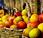 caso manzanas