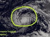 tormenta tropical "Dolphin" sigue aumentando fuerza Pacífico oeste