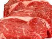 ¿Crudo cocido para perro?