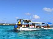 Corales Andrés. Colombia