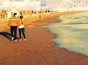 presento nueva obra nuestra compi fabiana iglesias: