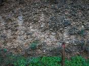 Piedras