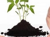 ¿Dónde falla Gestión Talento?