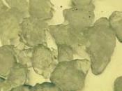 lluvia helada cielo Puerto Plata.