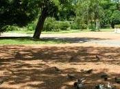 interparque contra bares