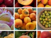 Frutas para junio: albaricoques, melocotón ciruelas