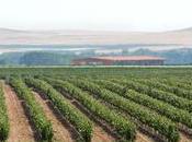 Entrevista Mes: Bodegas Gordonzello