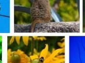 ¿Qué biodiversidad?